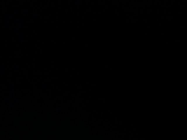 Live sex webcam photo for sophiie_fox #257847823