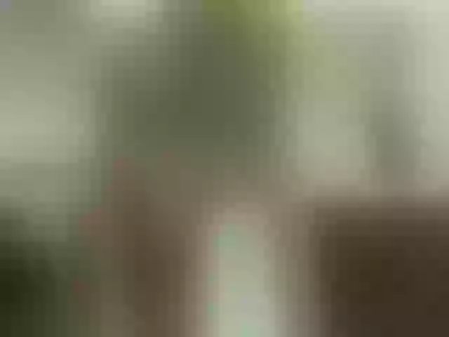 Live sex webcam photo for Angel_sex69 #256114035