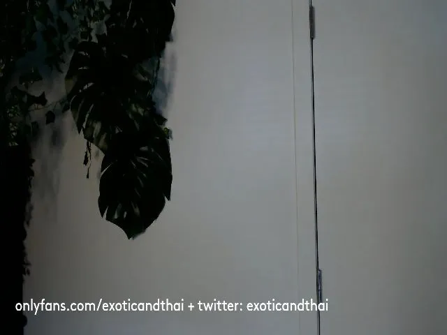 Live sex webcam photo for ExoticandThai #255420600