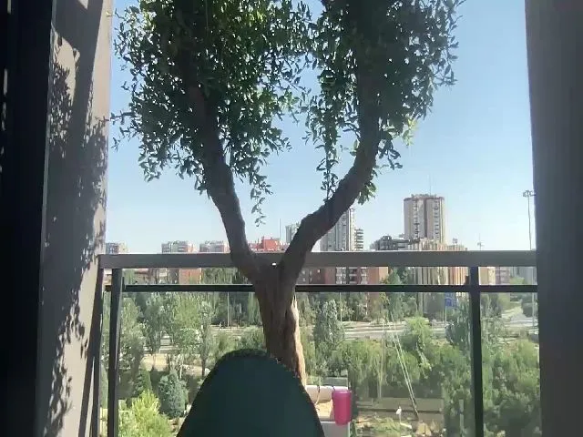 Live sex webcam photo for XViciousLoveX #256303761