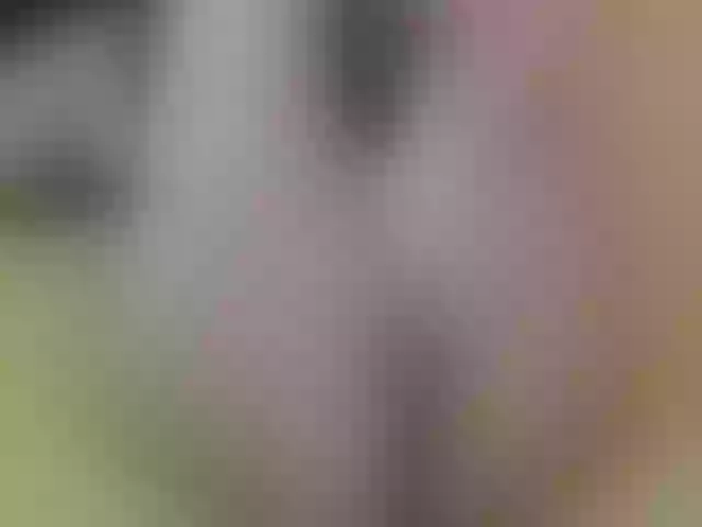 Live sex webcam photo for EllynXXX #241214653