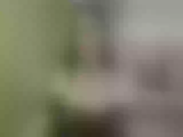 Live sex webcam photo for Evelynevi #254015050