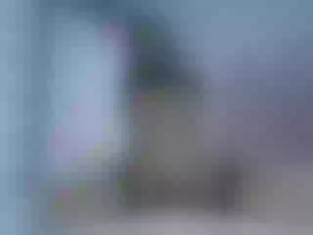Live sex webcam photo for Paulett #241309915
