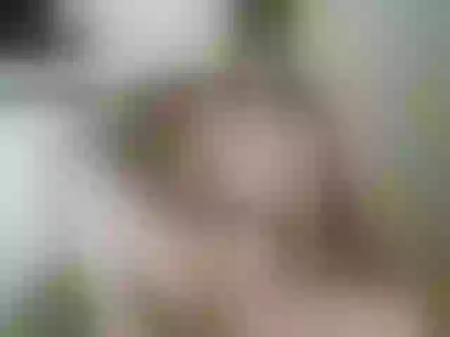 Live sex webcam photo for Terra1123 #255159920