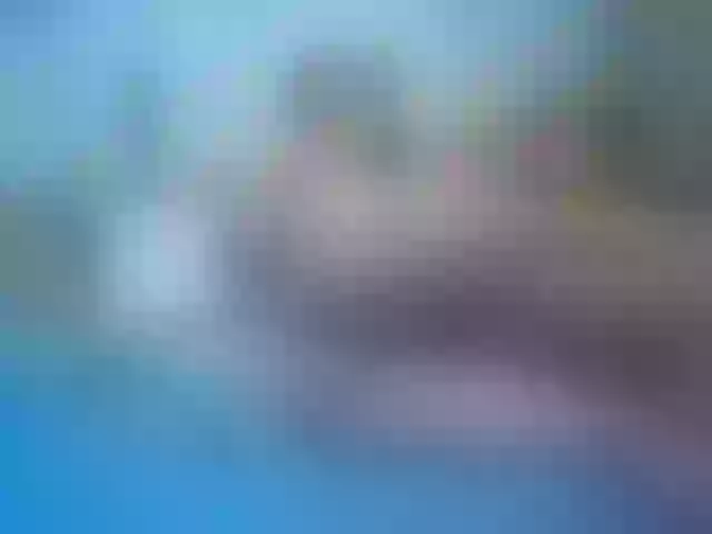 Live sex webcam photo for cheaptipmenu #240926588