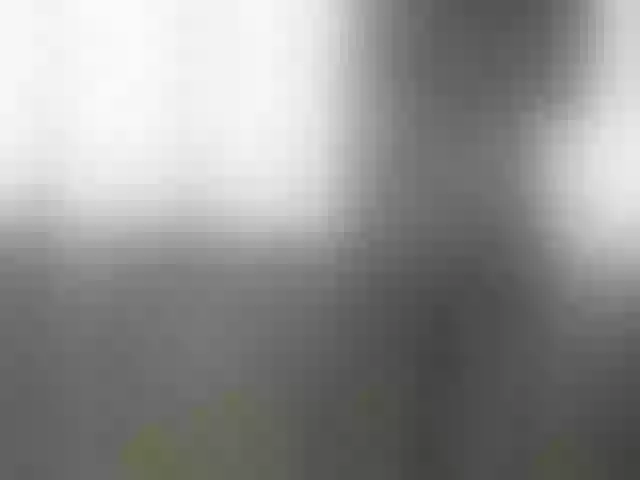 Live sex webcam photo for IlonaArizona #241256413