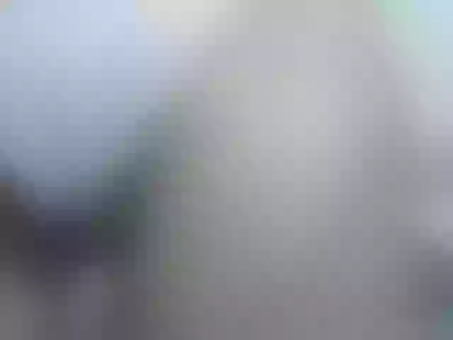 Live sex webcam photo for girasol-walto #244293701