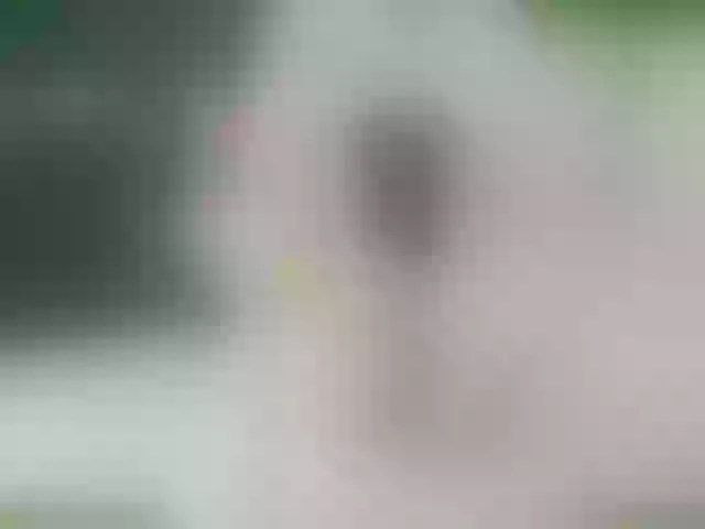 Live sex webcam photo for PureEmanuelle #261773216