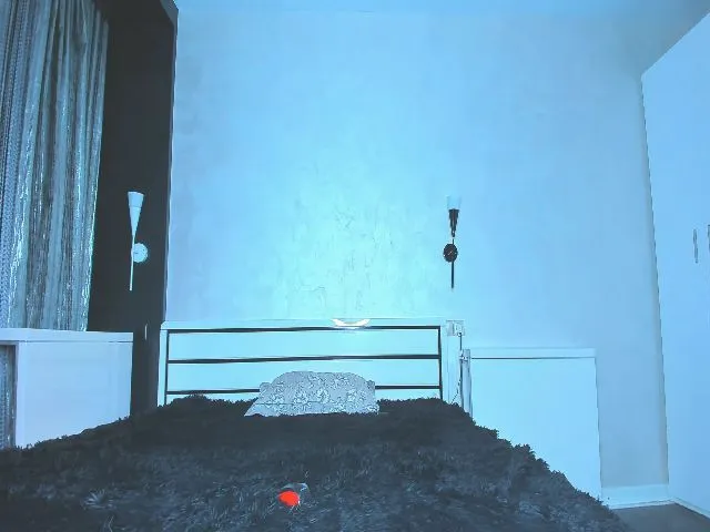 Live sex webcam photo for MayaTheLove #255120747