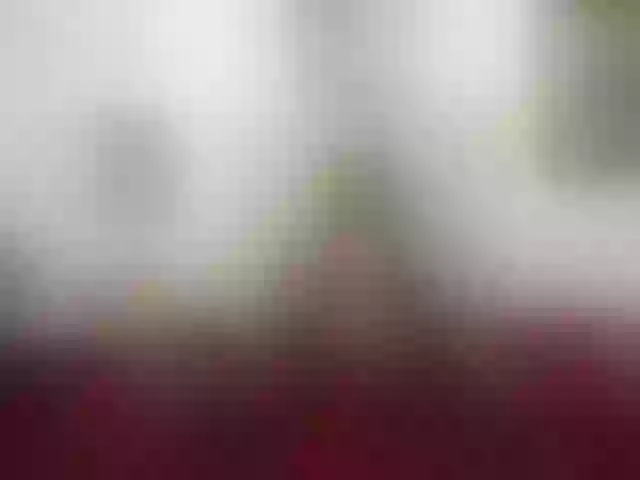 Live sex webcam photo for girasol-walto #241659184