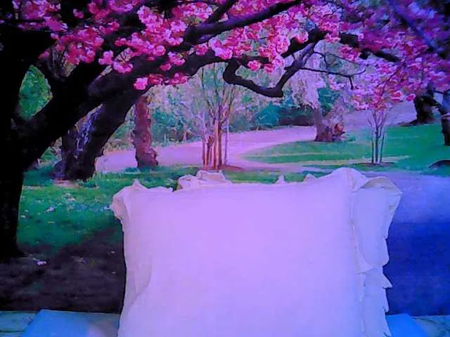 Live sex webcam photo for indianroxy #287933237