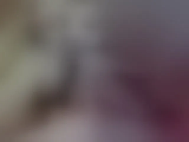 Live sex webcam photo for blondebab3 #241343852