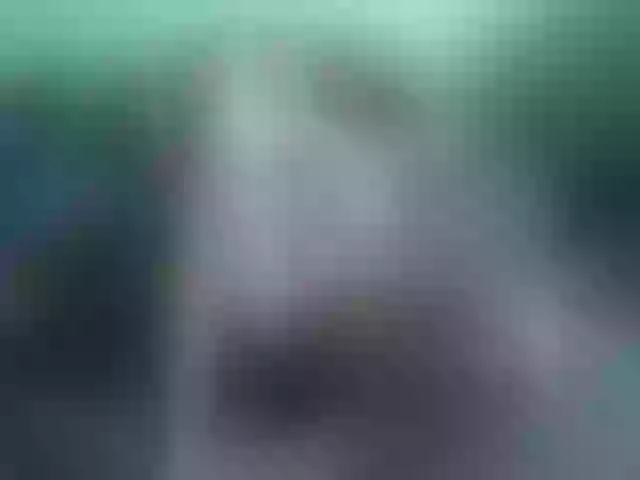 Live sex webcam photo for GirlNextDoorI #263129732