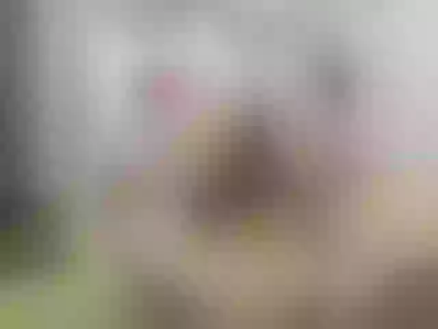 Live sex webcam photo for Violetbliss #244347979