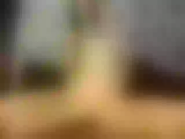 Live sex webcam photo for NikkySoul #257920538