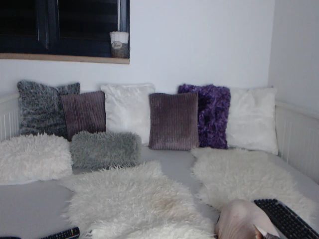 Live sex webcam photo for AngelineShine #256053163