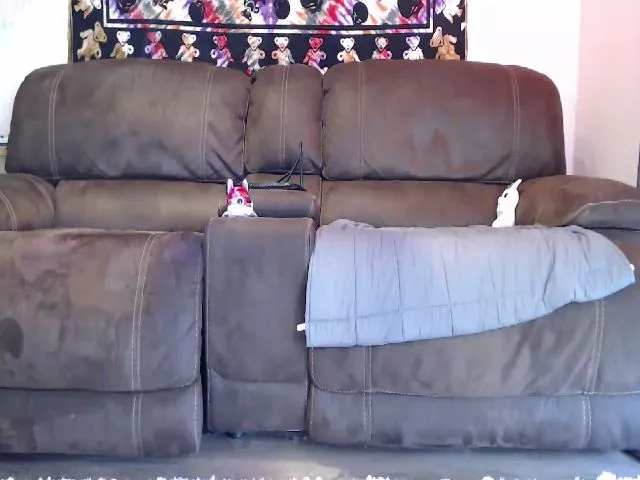 Live sex webcam photo for JaylaBliss #257279960