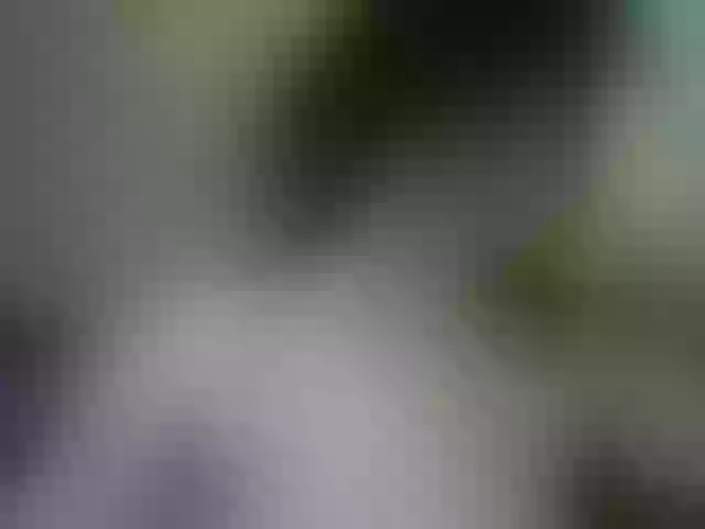 Live sex webcam photo for SofiAmeli #256248453