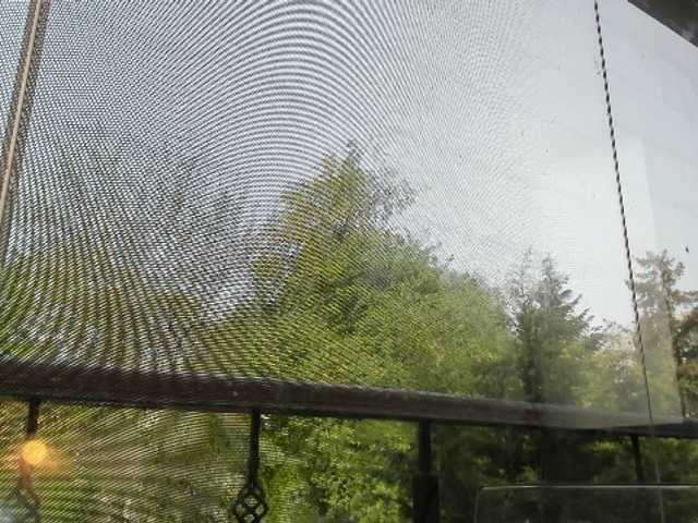 Live sex webcam photo for MissAriana #241493688