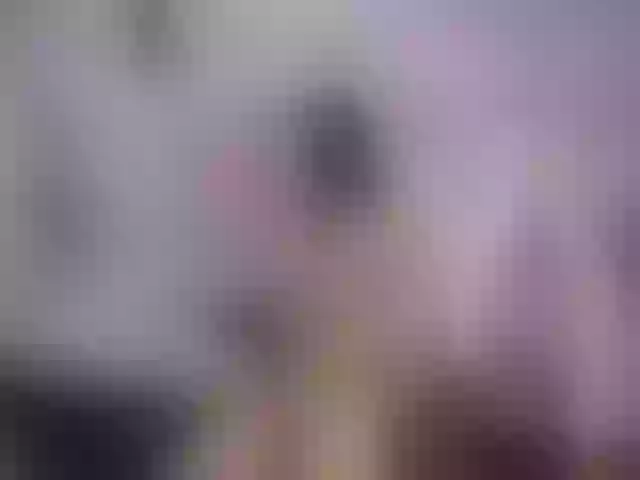 Live sex webcam photo for SexyAshley2x #254045031