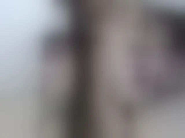 Live sex webcam photo for ItzyKardashan #264134955