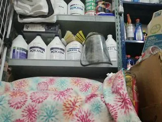 Live sex webcam photo for latinaamorosa #240648518