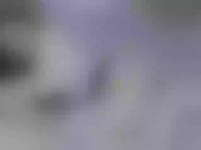 Live sex webcam photo for VennusLove #253638402