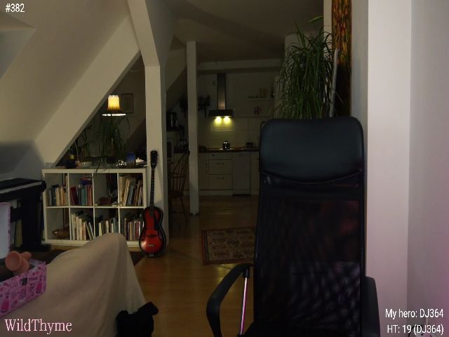 Live sex webcam photo for WildThyme #252910480