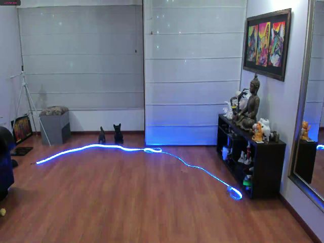 Live sex webcam photo for Angelagomez #254944872