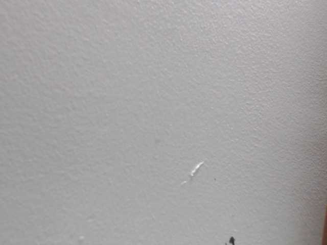 Live sex webcam photo for Gaticasquirt #242792434