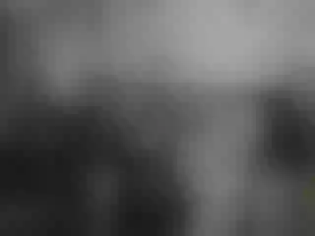 Live sex webcam photo for Millsieleonn #249338945