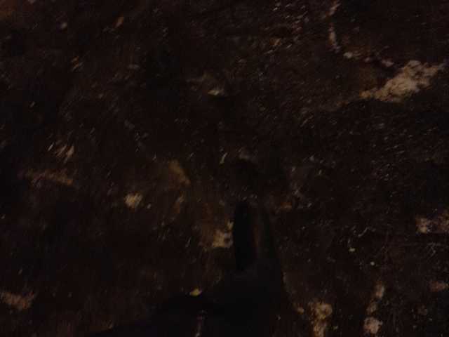 Live sex webcam photo for relishsavor #241190493