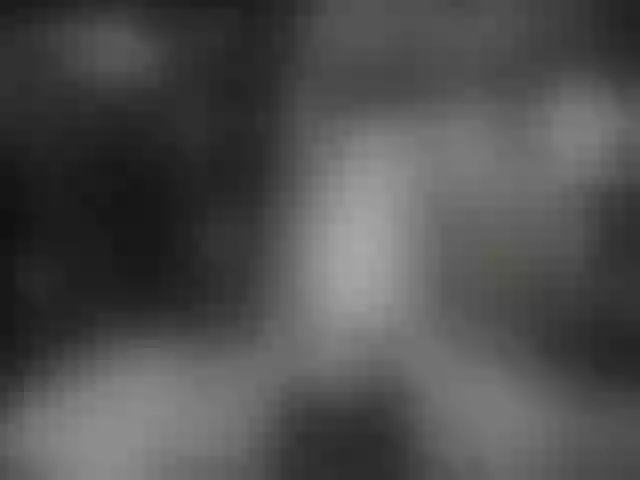 Live sex webcam photo for serenatv #254903201