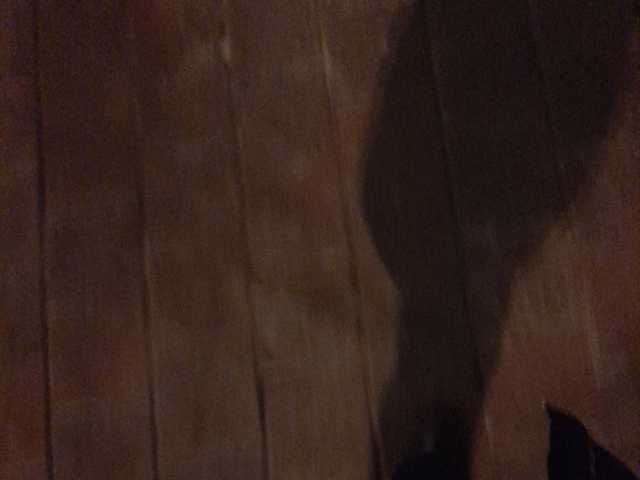 Live sex webcam photo for relishsavor #241258458