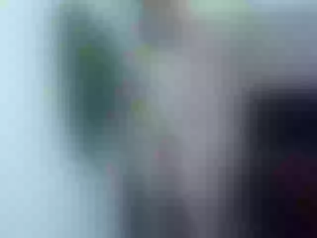 Live sex webcam photo for girasol-walto #248099196