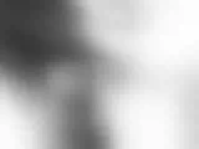 Live sex webcam photo for fox-seks #241250127