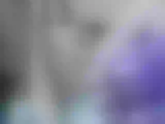 Live sex webcam photo for Medussangel #260672404