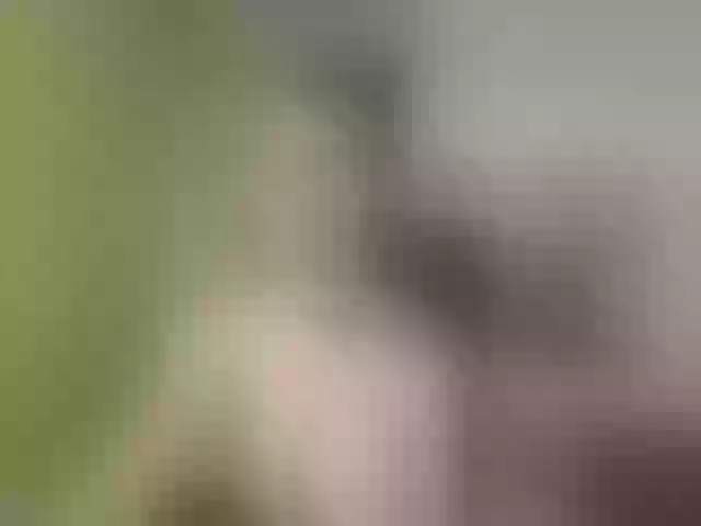 Live sex webcam photo for Evelynevi #253305272