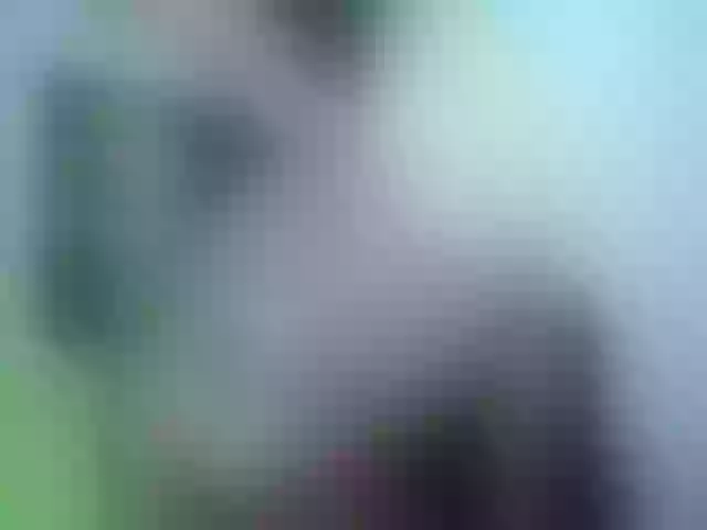 Live sex webcam photo for Anttonella_2 #253316835