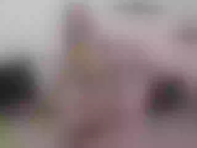 Live sex webcam photo for kendraros #241434571