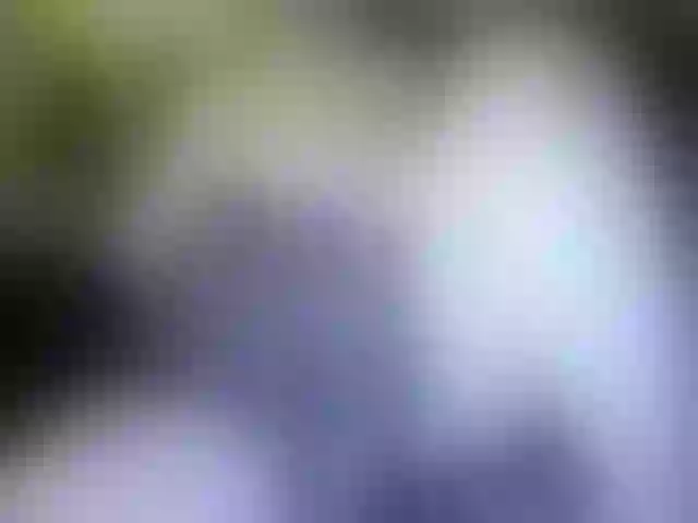 Live sex webcam photo for marusa0 #242350248