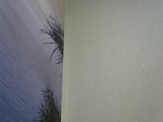 Live sex webcam photo for RachelGreen88 #252594519