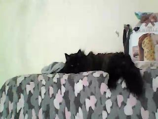 Live sex webcam photo for GuiltyKitty #251866959