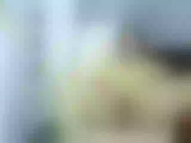 Live sex webcam photo for girasol-walto #254561920
