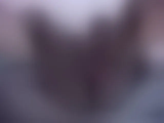Live sex webcam photo for Chrishadoll #258871553