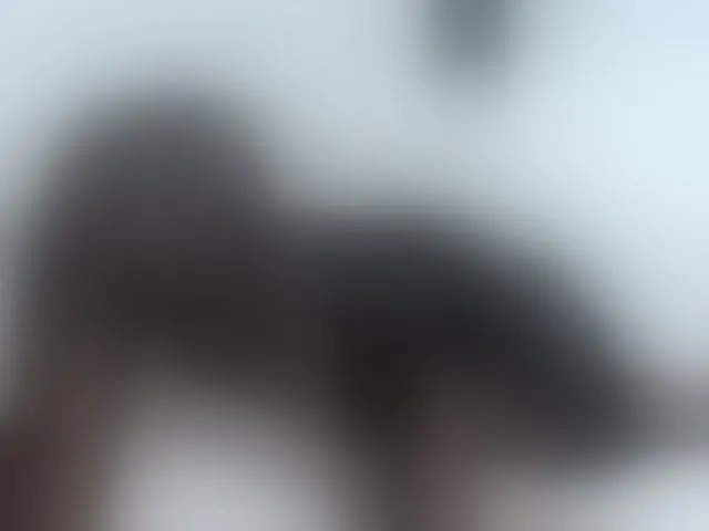 Live sex webcam photo for Leidysautss #264479055