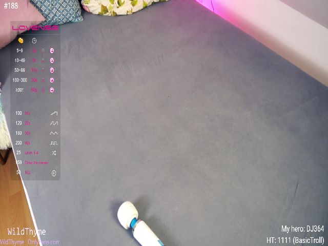 Live sex webcam photo for WildThyme #262311379