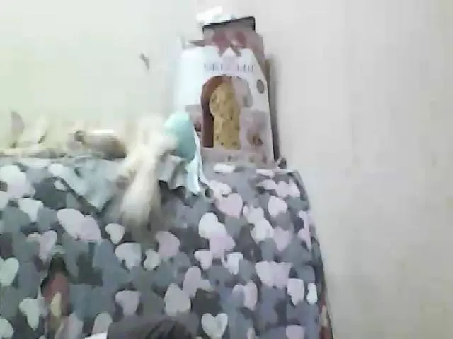 Live sex webcam photo for GuiltyKitty #258570779