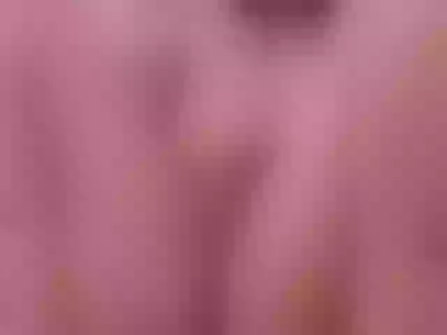 Live sex webcam photo for KattySteal #253734487