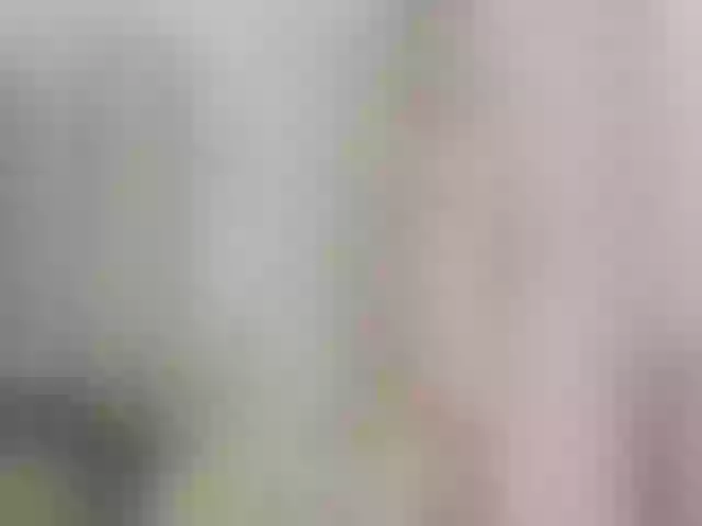 Live sex webcam photo for Sellena_Girl #253548865